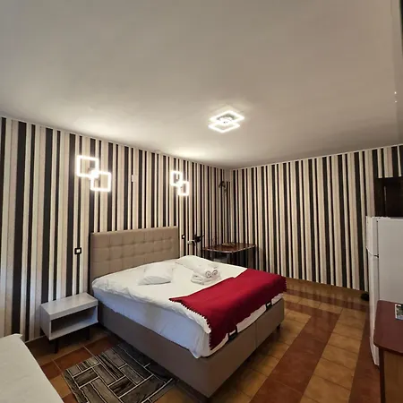 Pensiunea Eliza Konukevi 3*