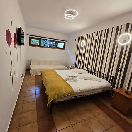 Konukevi Pensiunea Eliza 3*