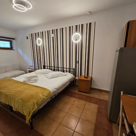 Pensiunea Eliza 3* Sinaia